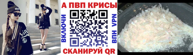 A PVP крисы CK Динская