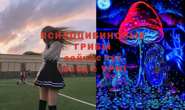 Альфа ПВП Алексеевка