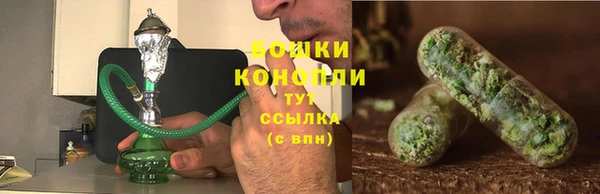 PSILOCYBIN Алексин